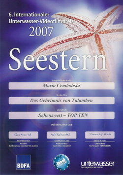 Seestern2007